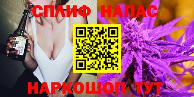 гашик Шахты