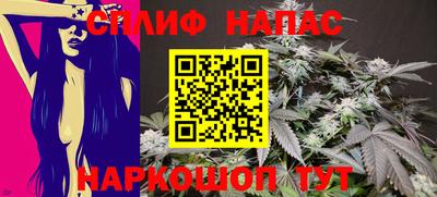 гашик Шахты