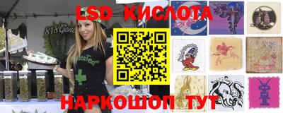 гашик Шахты