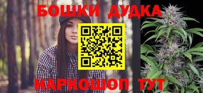 гашик Шахты