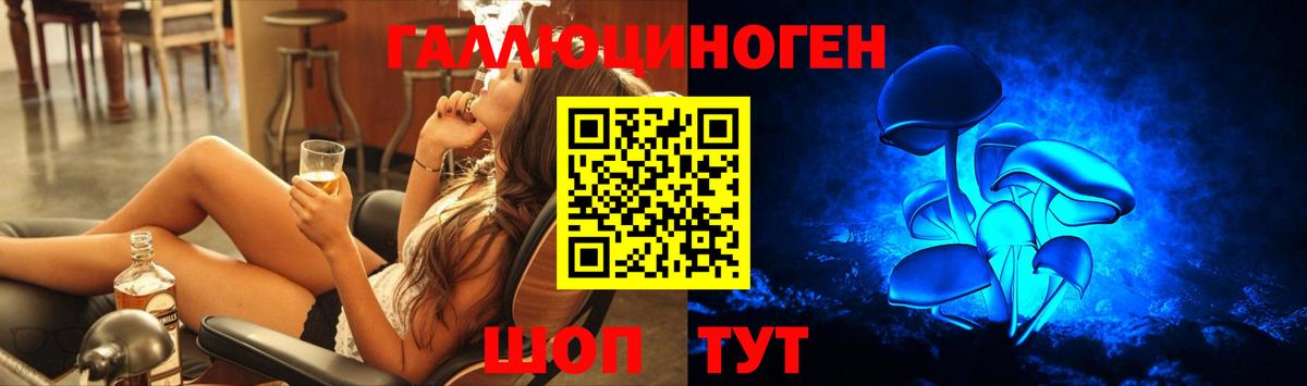 Верхняя Салда  Псилоцибиновые грибы GOLDEN TEACHER  Галлюциногенные грибы мицелий  Вход с VPN 